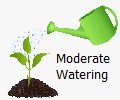 moderate growing and planting plants